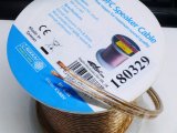 シャークワイヤー(SHARK WIRE)商品